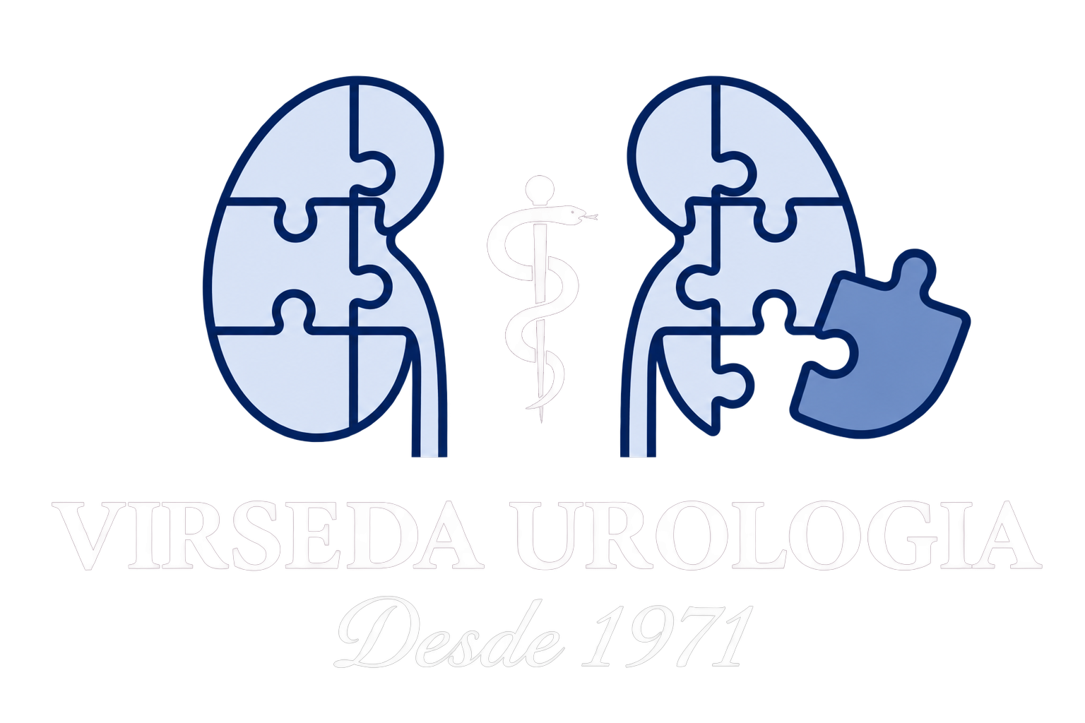 Virseda Urología